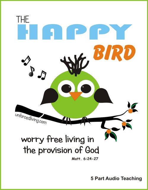 Product picture Spiritual Bird Watching PT1 by John C. Meyer